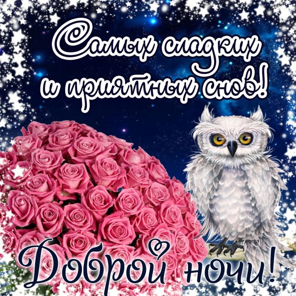 сова спокойной ночи