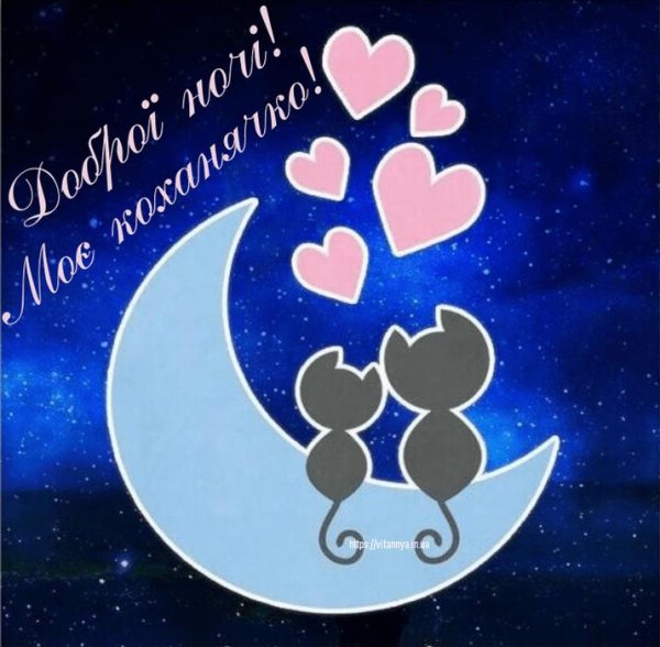 доброй ночи любимый