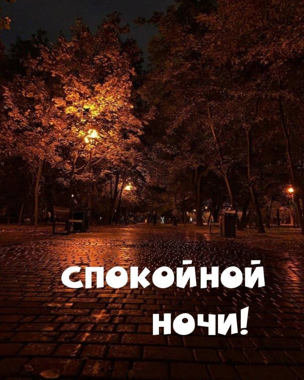 спокойной ночи осени