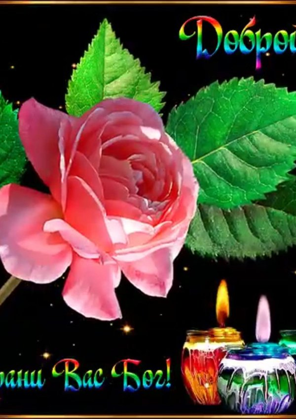 открытка доброй ночи