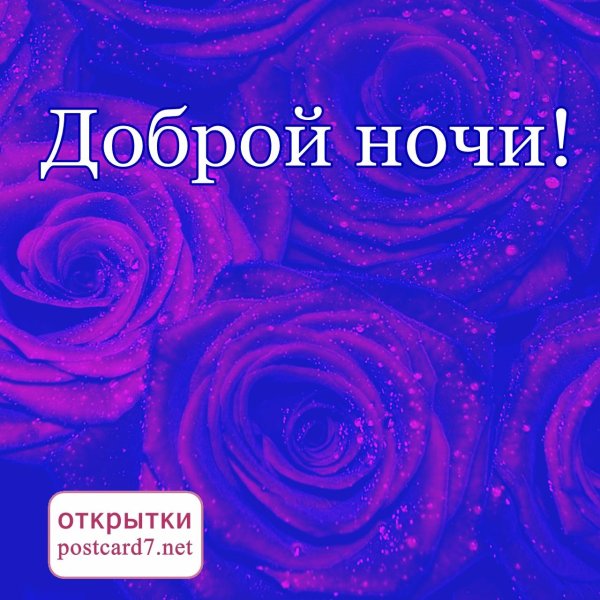 добрая ночь