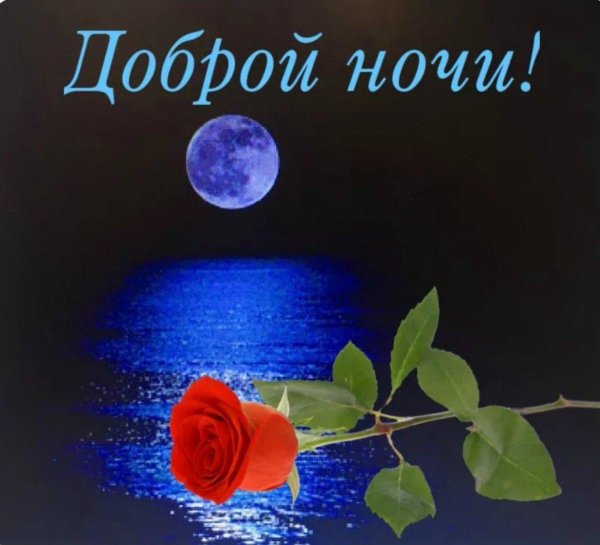 добрая ночь