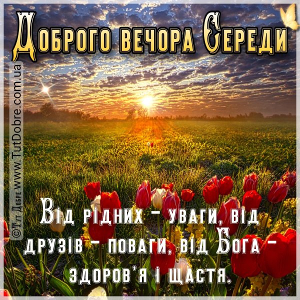 добрий вечір