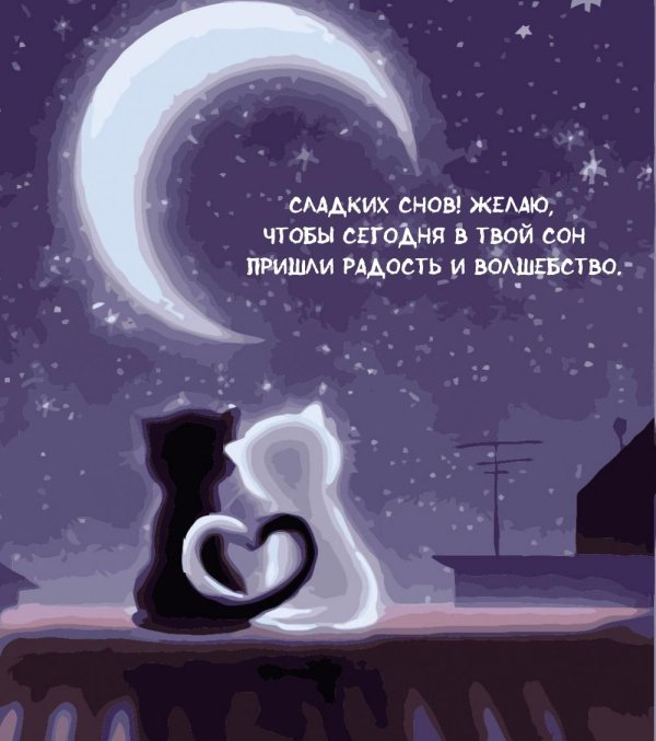 сладких снов любимая