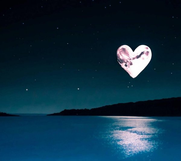 ночное сердце