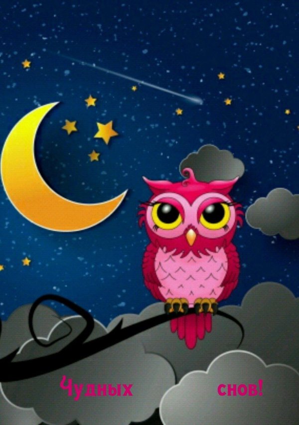 ночная соваnight owl1993