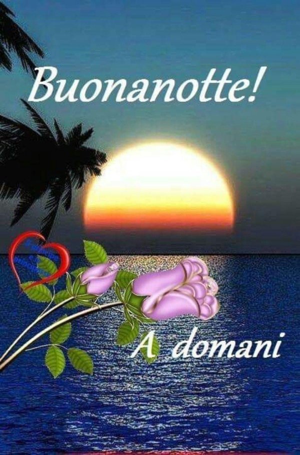 buonanotte immagini