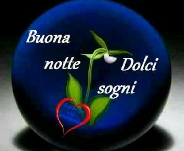 buona notte
