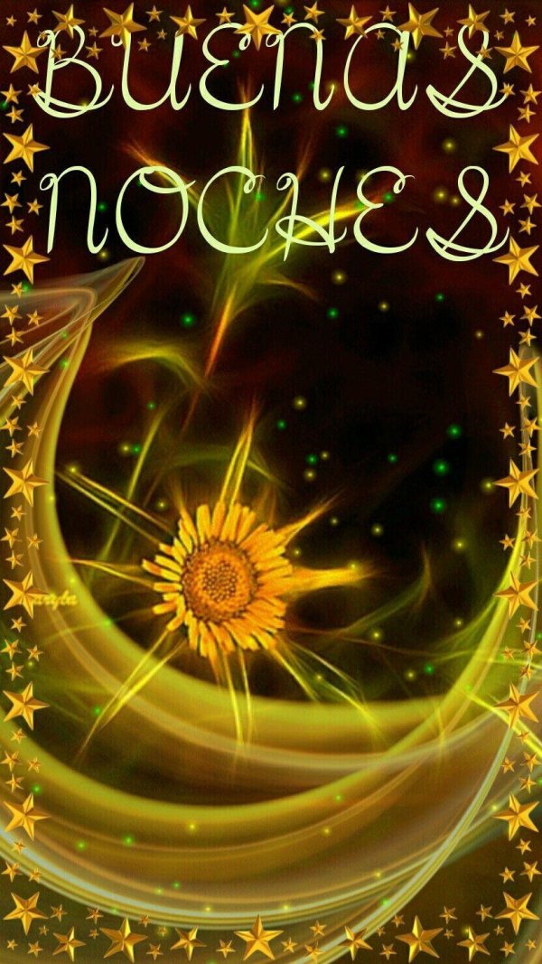 buena noche