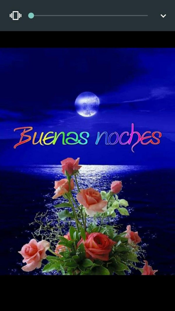 buena noche