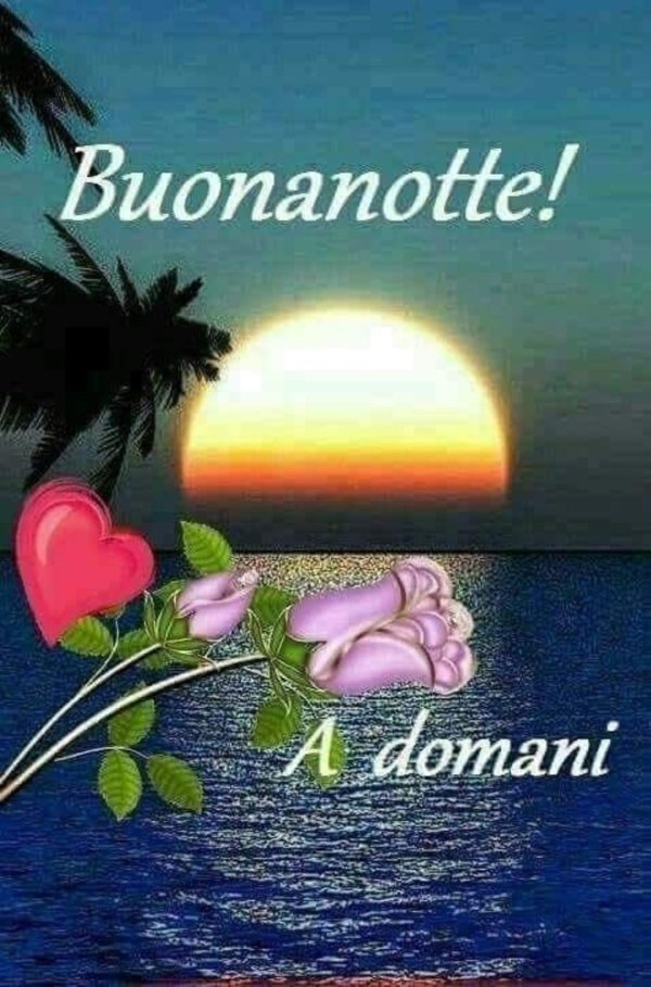 buonanotte buongiorno