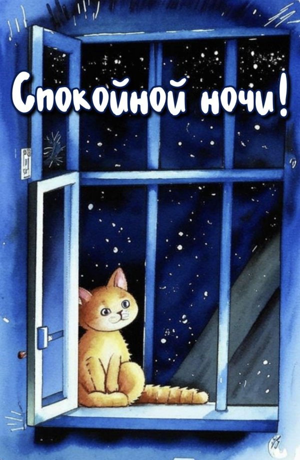 доброй ночи кэт