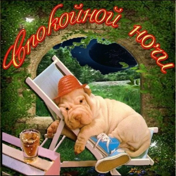 прикольное спокойной ночи