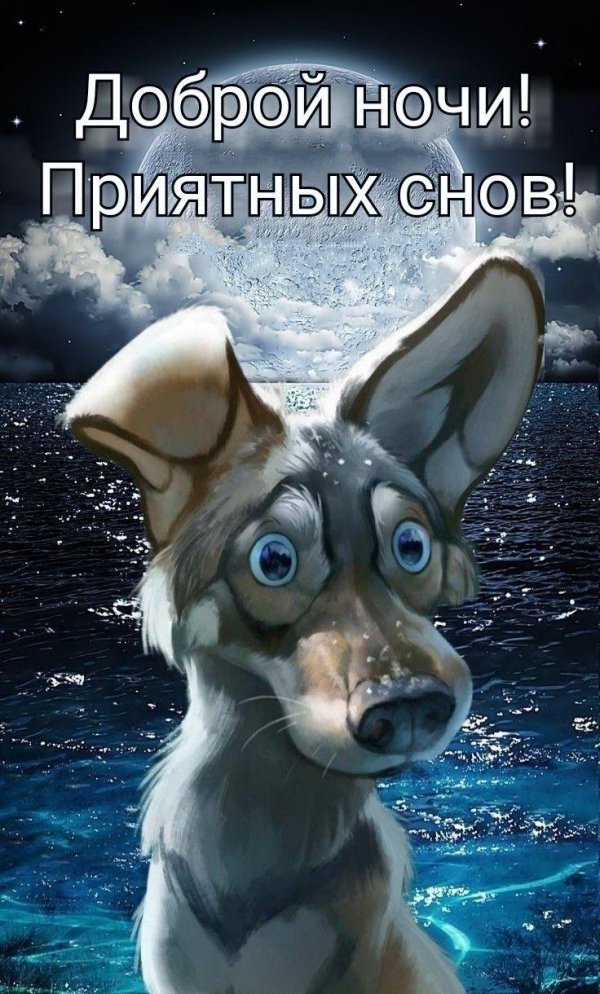 прикольное спокойной ночи