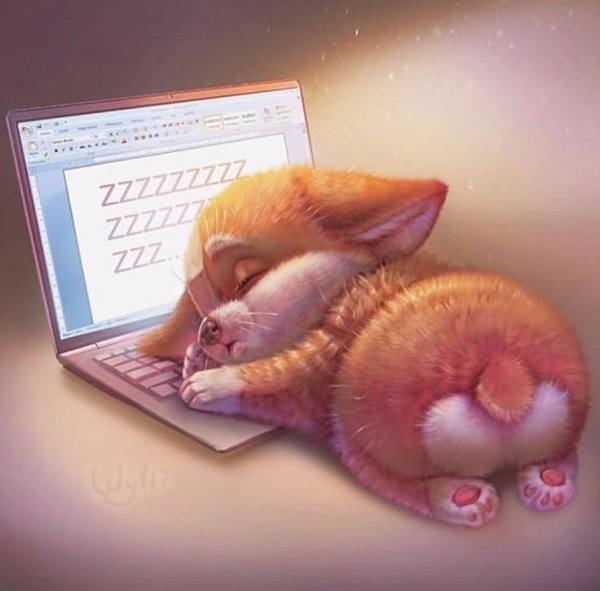 спящий лисенок