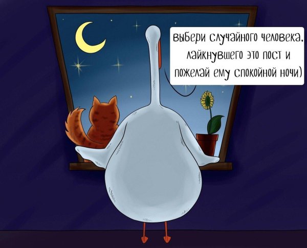 прикольной ночи