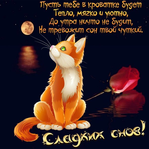 пожелание сладких снов