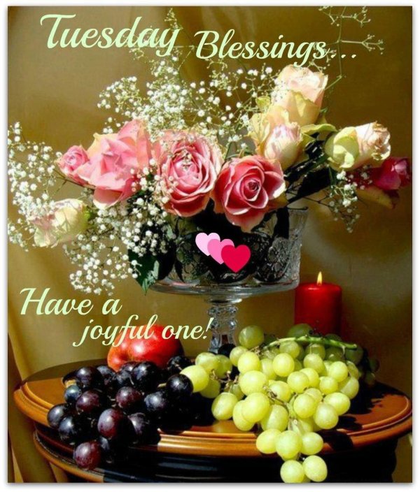 цветы и фрукты