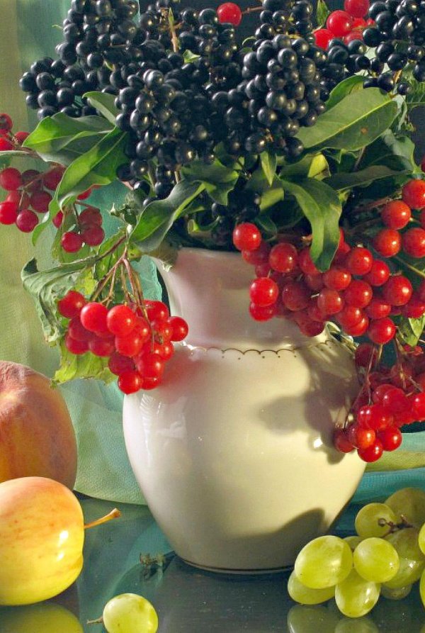 елена чумакова гроздь рябиновых ягод