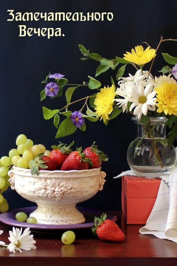 фотонатюрморты анны немирович