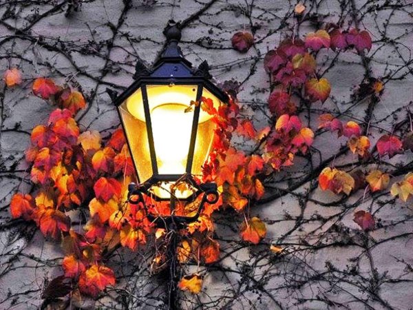 осенний фонарь