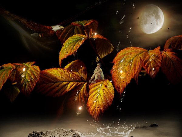 осенней ночи