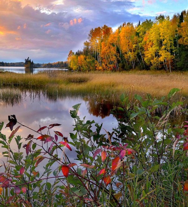 природа речка