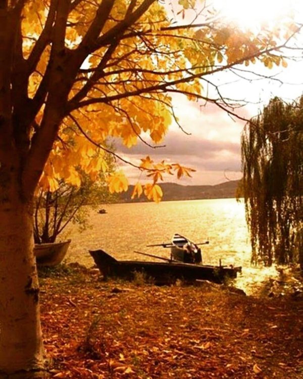 осеннее озеро