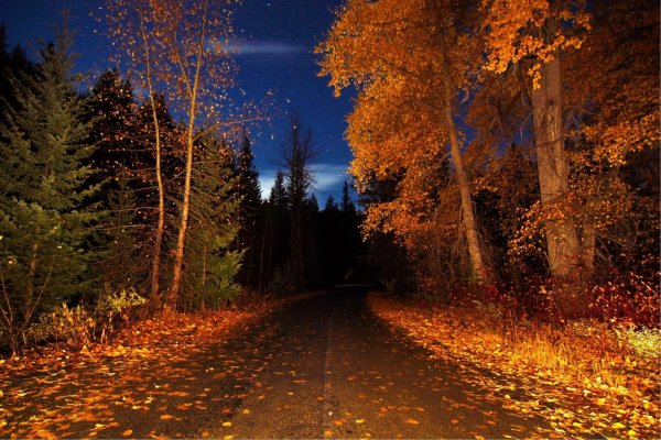 осенней ночи