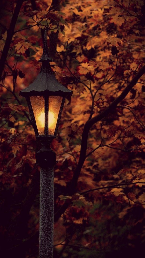 ночные фонари