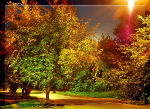 Добрый вечер природа осень