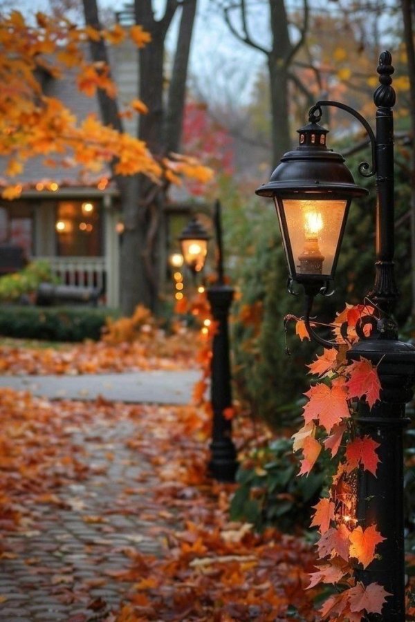 ночь фонари