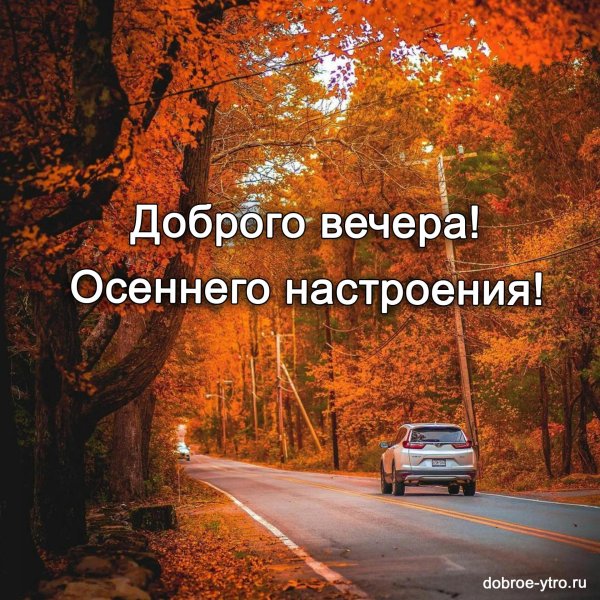 доброго вечера осени
