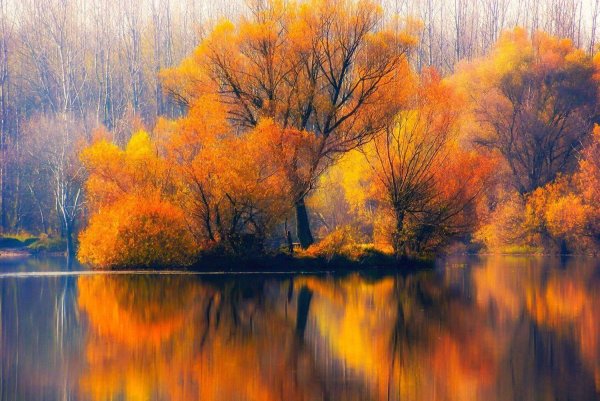 природа осени