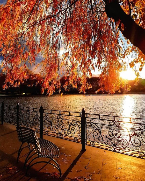 пейзажи осенние