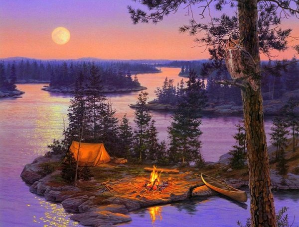 живопись даррелл буш костер