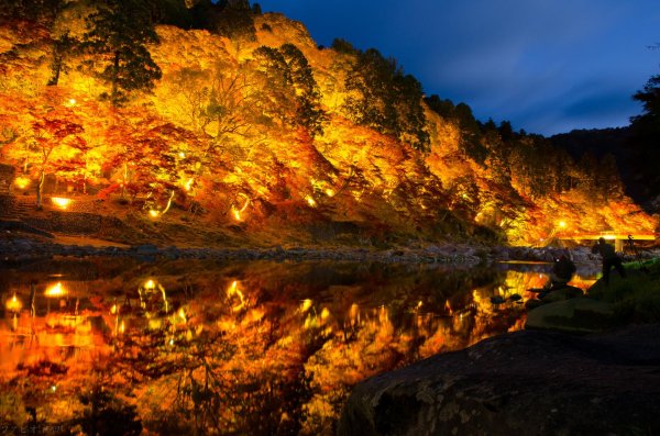 природа ночью