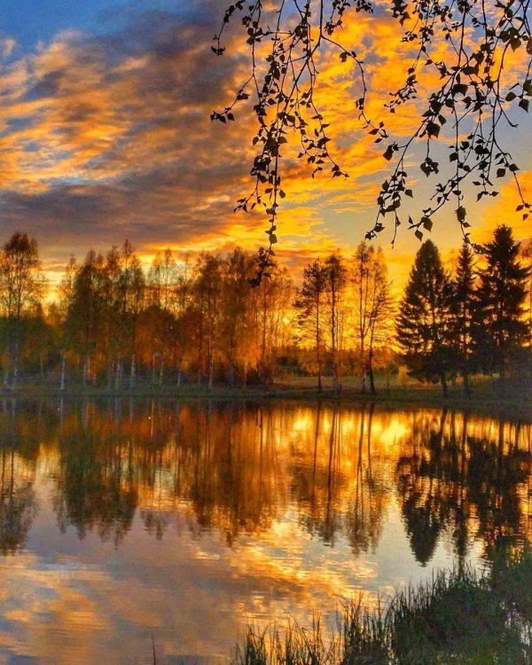 рассвет осени