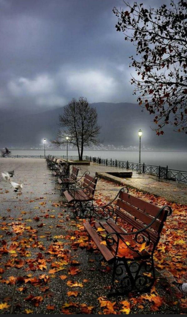 осенние пейзажи