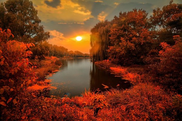 Добрый вечер природа осень