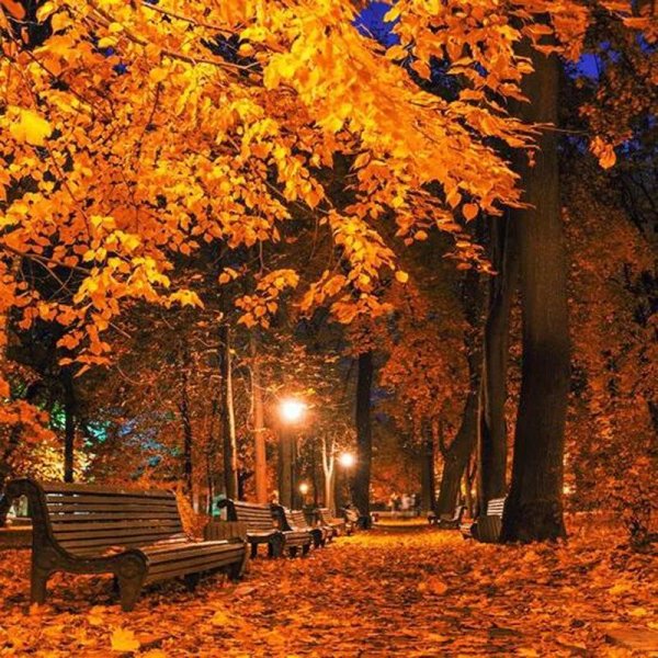 осенней ночи