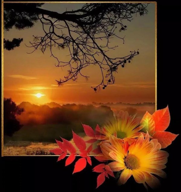 осенние открытки с добрым вечером красивые