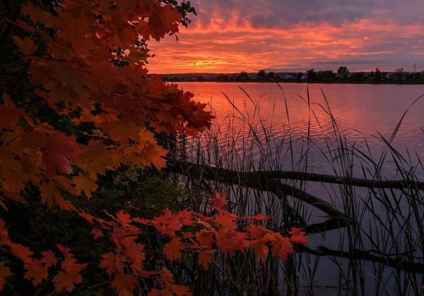 закат осенний