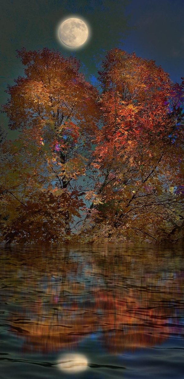 осенней ночи