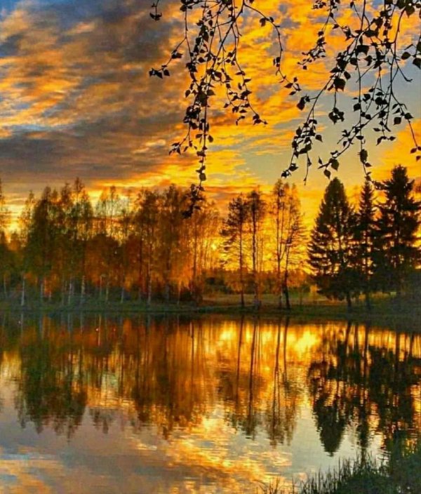 рассвет осени