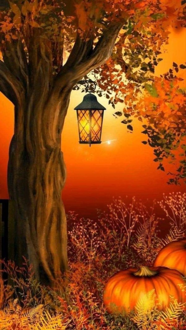 хэллоуин фон