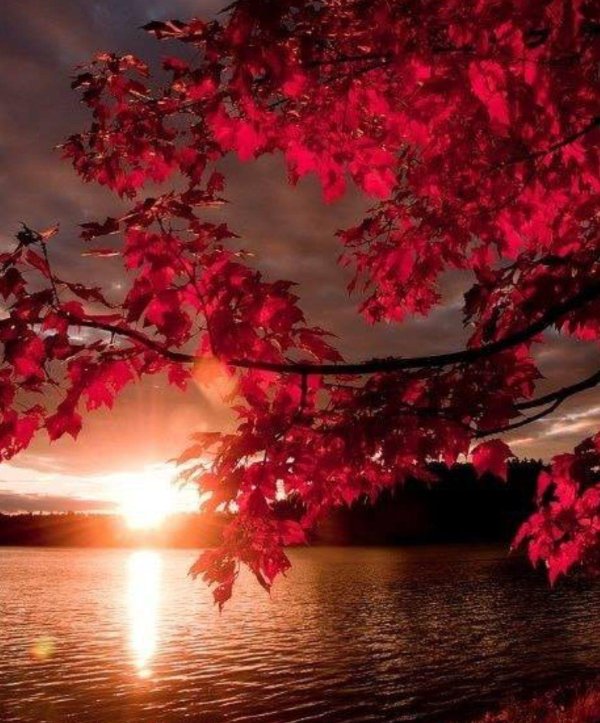 красота природа