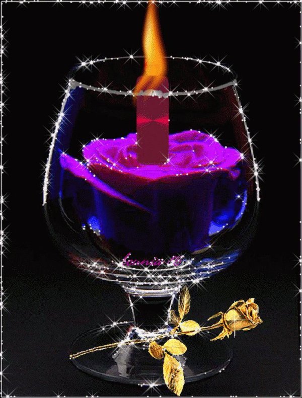 роза в бокале