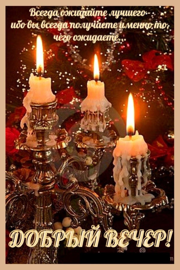 елка с горящими свечами