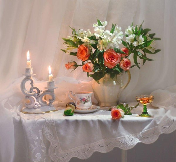 фотонатюрморты валентина колова